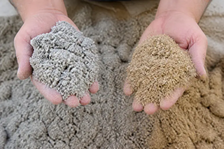 Mains comparant de la ouate de cellulose et des fibres de bois, deux matériaux d'isolation.
