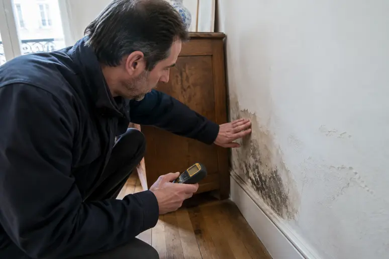Inspection d'une cloison touchée par une odeur d'humidité persistante dans un salon